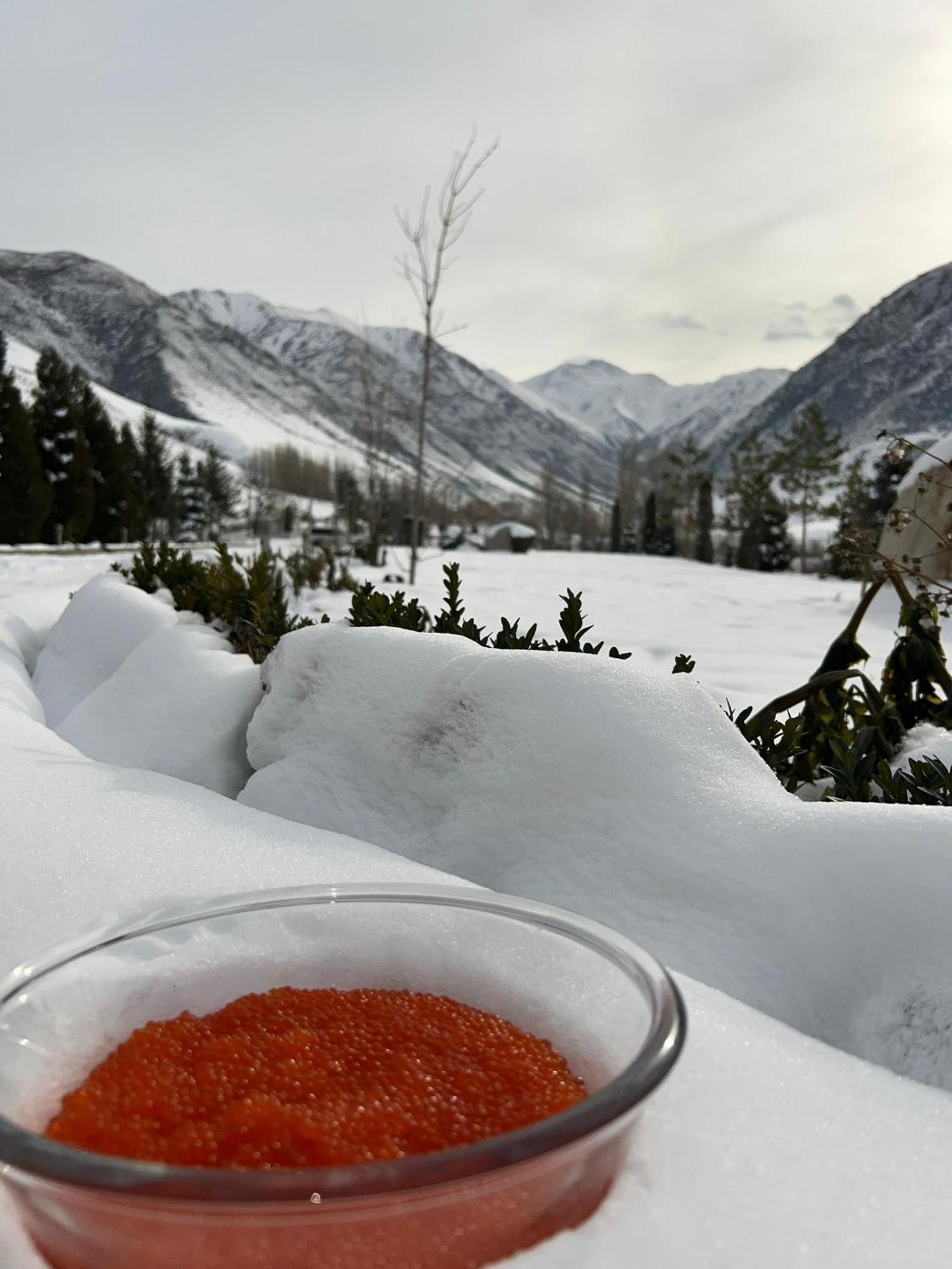 Mountain View Hot Spring Resort Bishkek Exterior photo